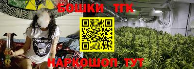 сатива Кимры