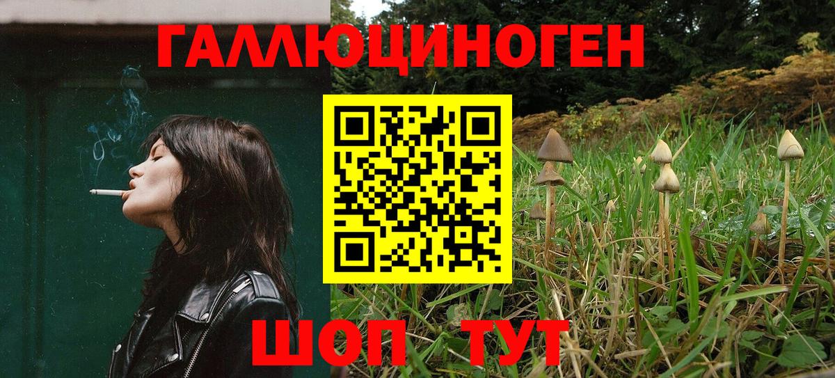 Галлюциногенные грибы Magic Shrooms Кимры