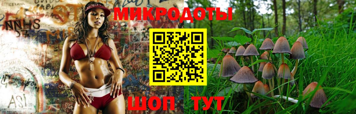 Псилоцибиновые грибы GOLDEN TEACHER  Галлюциногенные грибы ЛСД  Кимры  Вход с VPN 